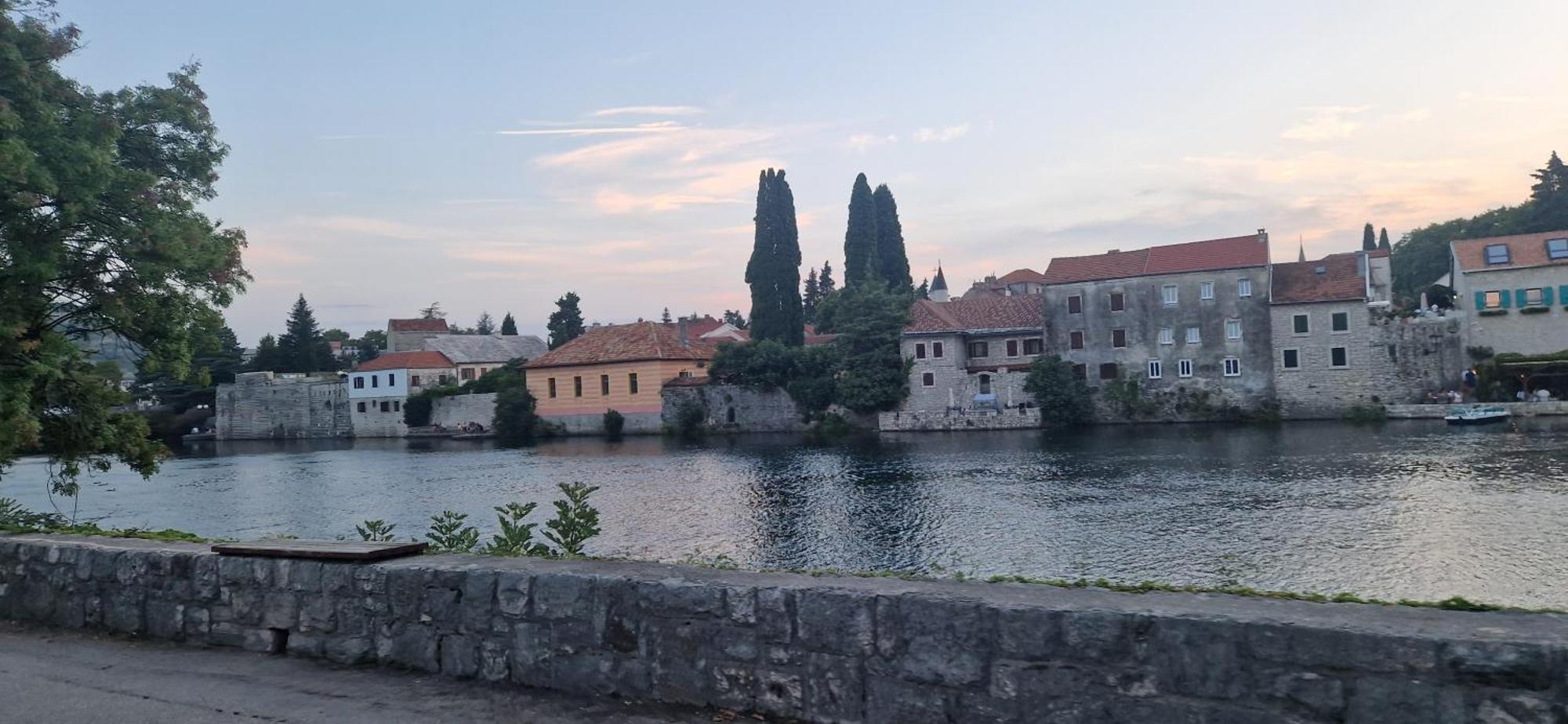 Plava Orhideja *