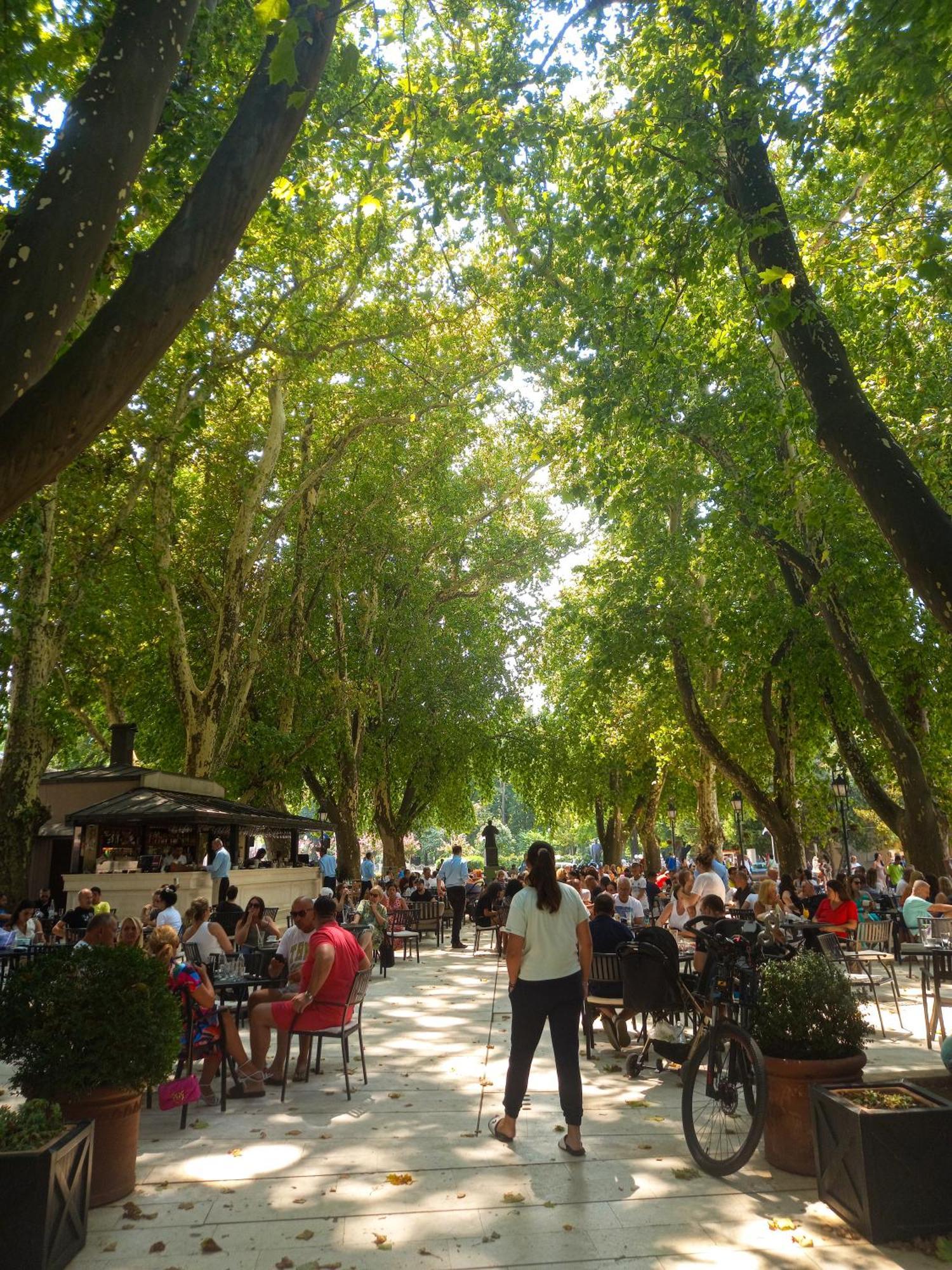 Plava Orhideja * Trebinje