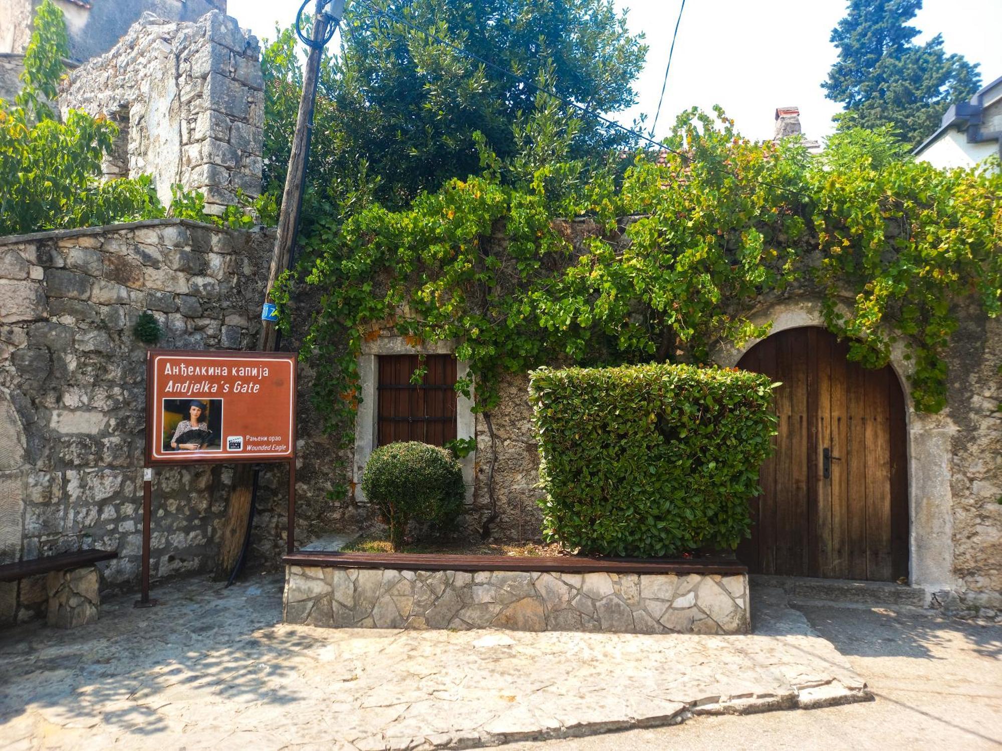 Plava Orhideja