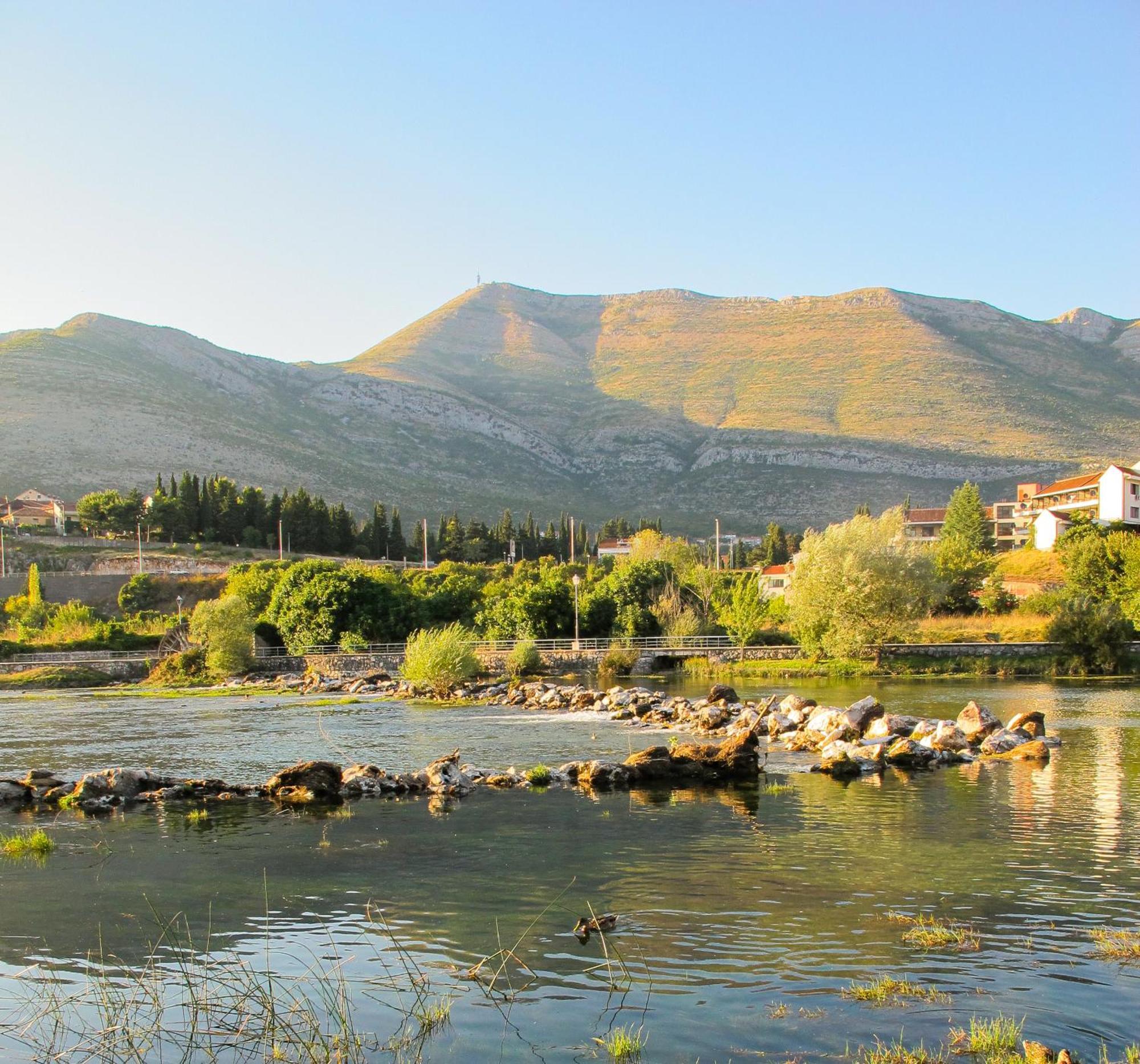 Apartment Plava Orhideja Trebinje